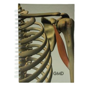 Cuaderno GMD