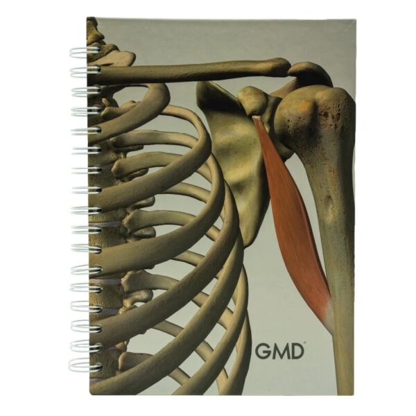 Cuaderno GMD